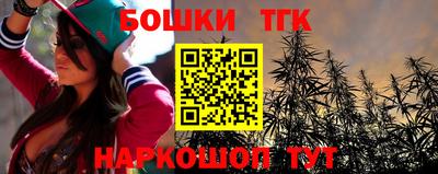 мдпв Славгород