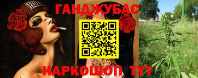мдпв Славгород