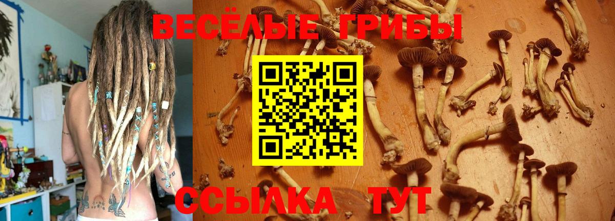 Отрадное  Галлюциногенные грибы Psilocybe  Вход с VPN 